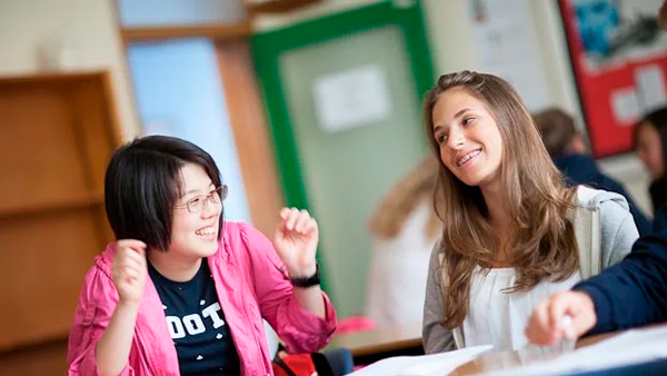 Entrepreneurship Incubator